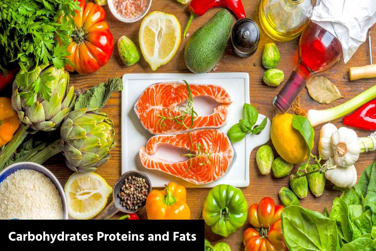 Carbohydrates Proteins and Fats