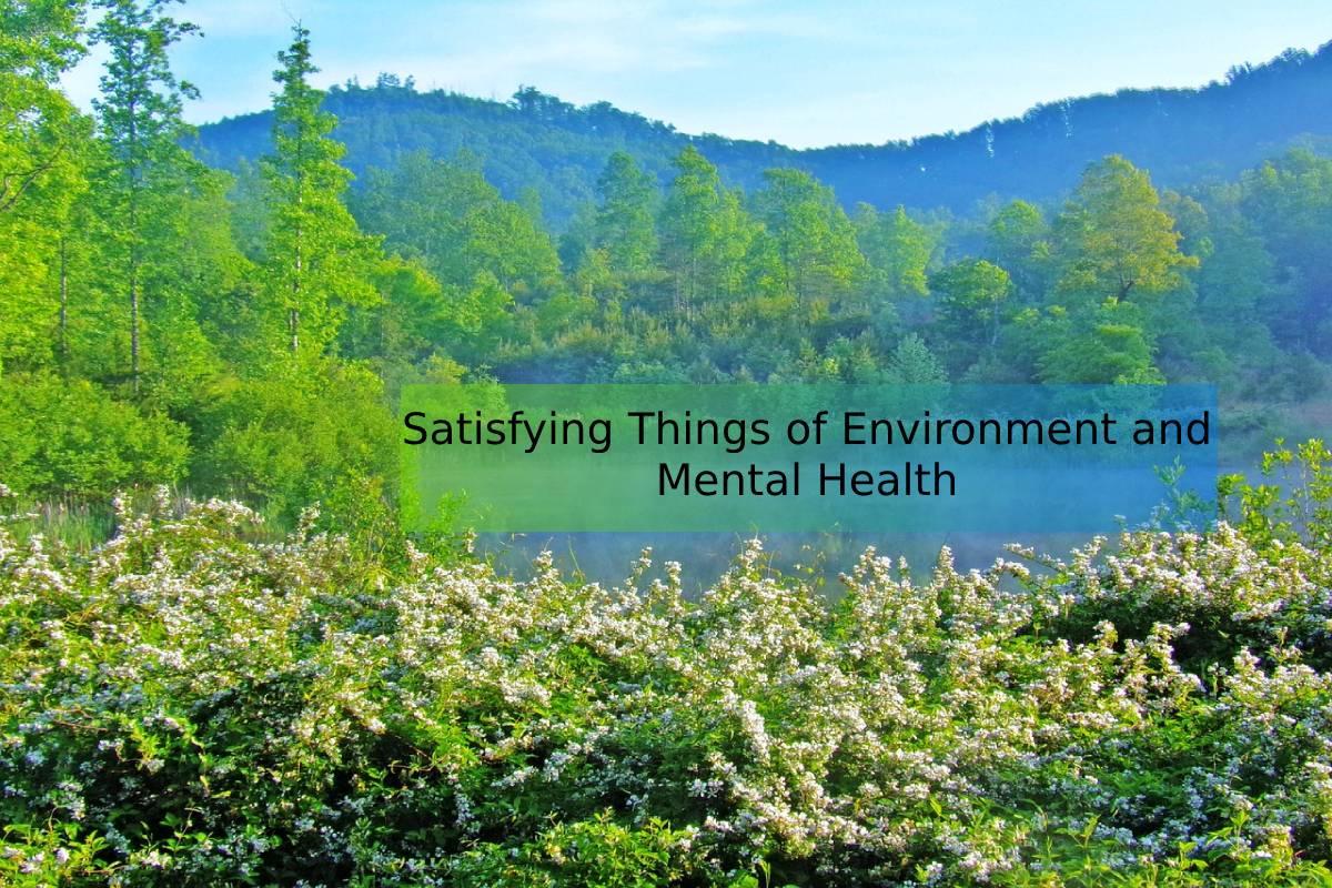 Satisfying Things of Environment and Mental Health