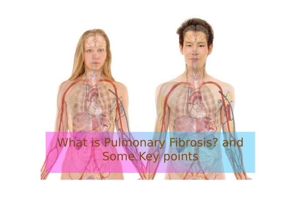 What is Pulmonary Fibrosis? and Some Key points
