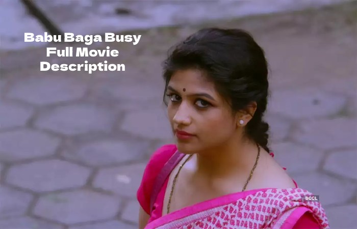 Babu Baga Busy Full Movie Description