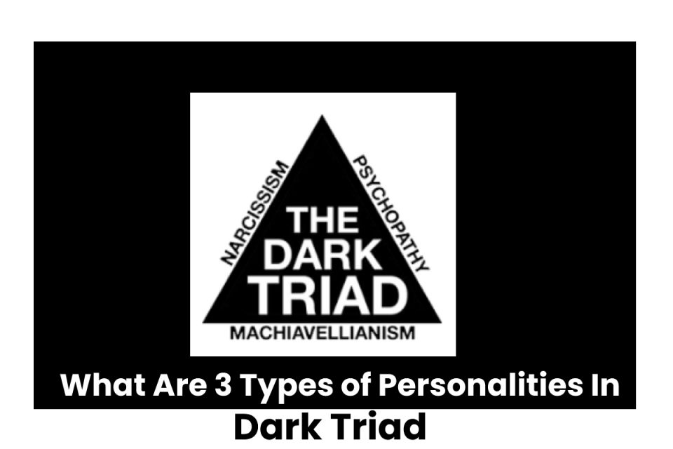 hat Are 3 Types of Personalities In Dark Triad?