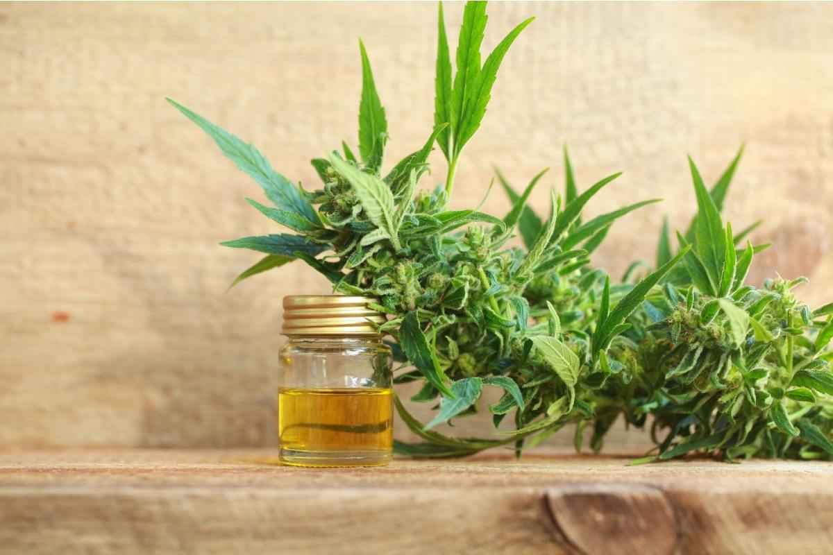 CBD Products for Pets