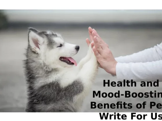 Health and Mood-Boosting Benefits of Pets Write For Us