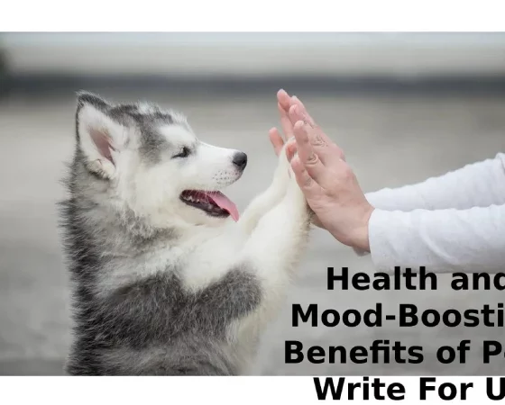 Health and Mood-Boosting Benefits of Pets Write For Us
