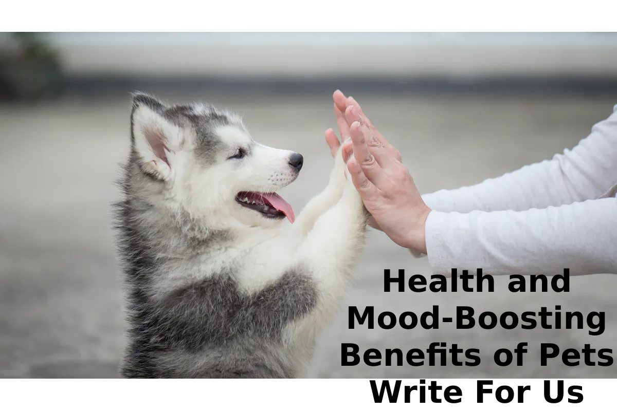 Health and Mood-Boosting Benefits of Pets Write For Us