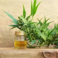 CBD Products for Pets