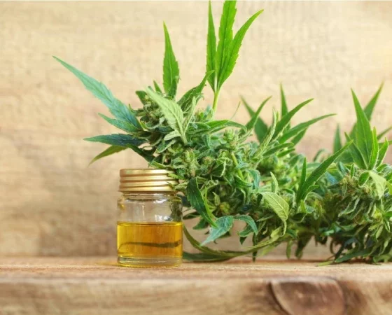 CBD Products for Pets