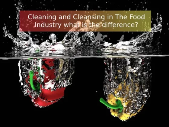Cleaning and Cleansing in The Food Industry what is the difference?