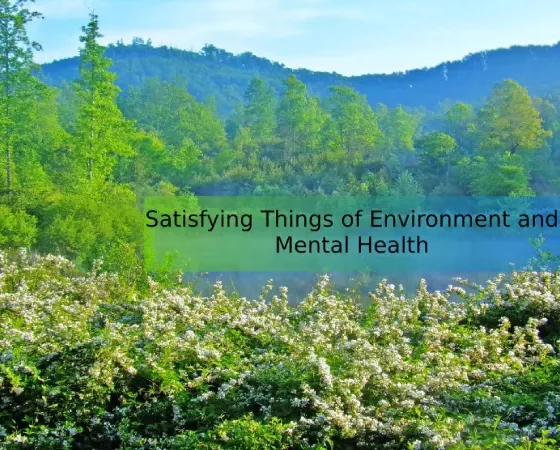 Satisfying Things of Environment and Mental Health