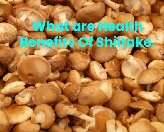 What are Health Benefits Of Shiitake.