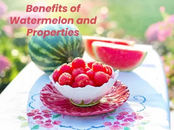 Benefits of Watermelon and Properties