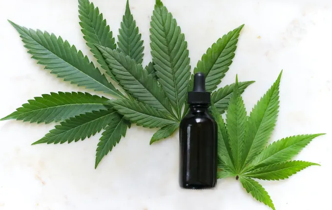 How can you use CBD