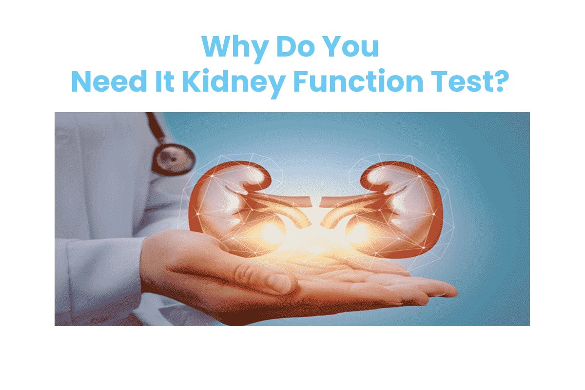 Why Do You Need It Kidney Function Test_