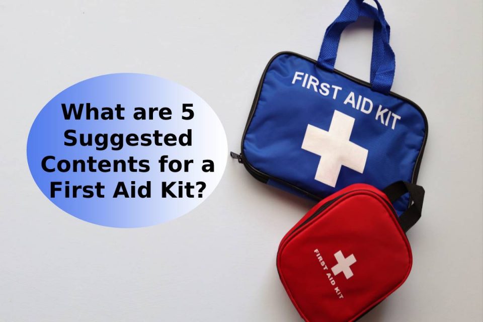 What are 5 Suggested Contents for a First Aid Kit?