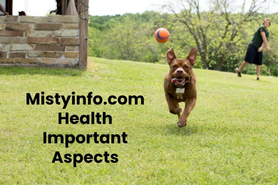 Mistyinfo.com Health Important Aspects