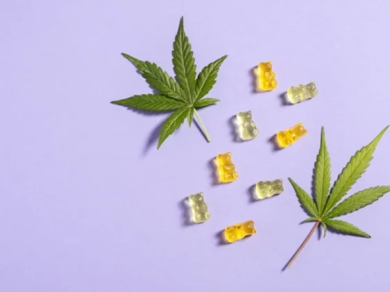How CBD Gummies Promote Emotional Health and Wellbeing