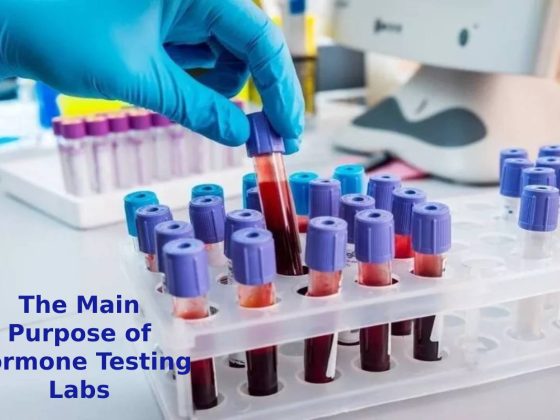 The Main Purpose of Hormone Testing Labs