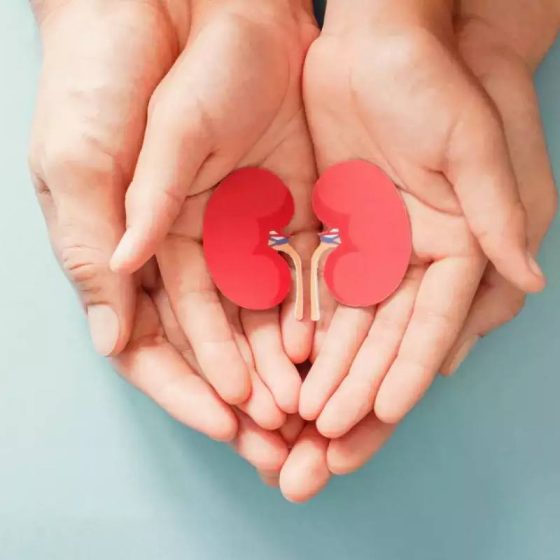 10 Healthy Habits That Promote Kidney Health