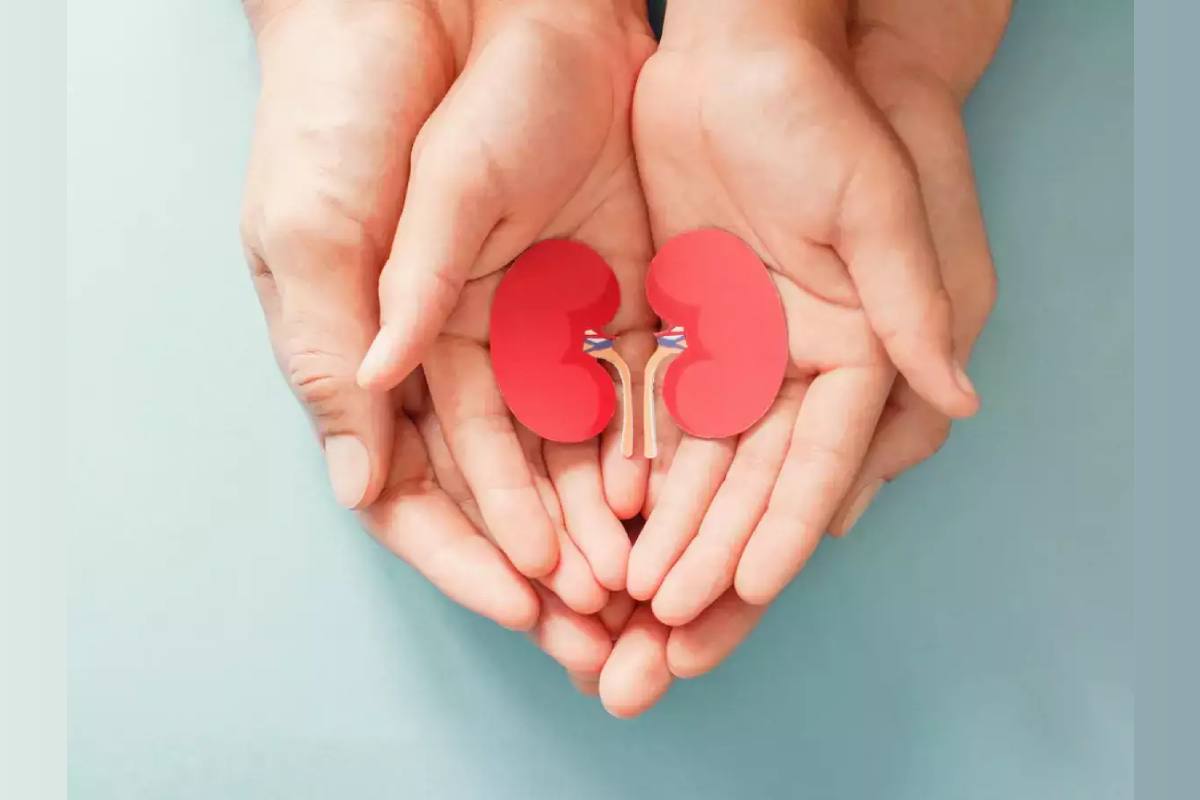 10 Healthy Habits That Promote Kidney Health