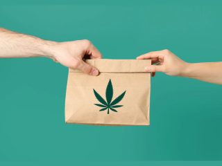 6 Factors To Ensure While Getting Your Weed Delivered In Whitby