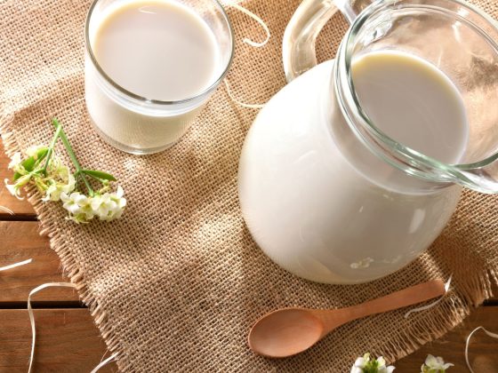 Camel Dairy | Amazing Benefits & Ways to Include It to Your Diet