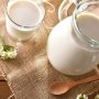 Camel Dairy | Amazing Benefits & Ways to Include It to Your Diet