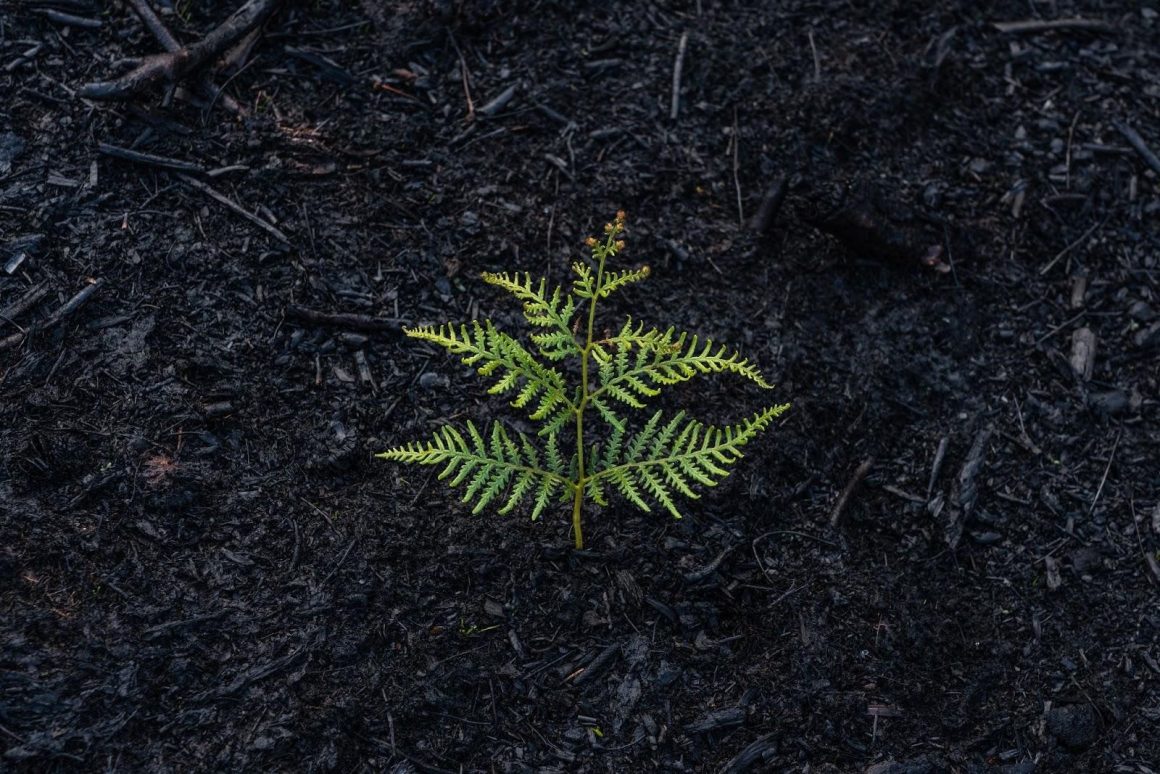 How ROMTech ® Continues to Create More Innovative Ways of Recovery