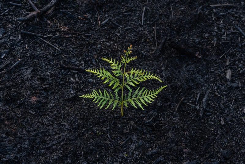 How ROMTech ® Continues to Create More Innovative Ways of Recovery