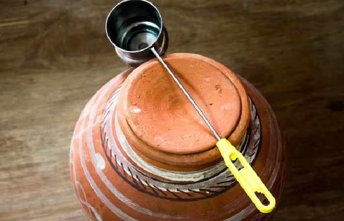 Wellhealthorganic.com:some-amazing-health-benefits-of-drinking-water-from-an-earthen-pot