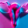 Progesterone in a Woman's Life