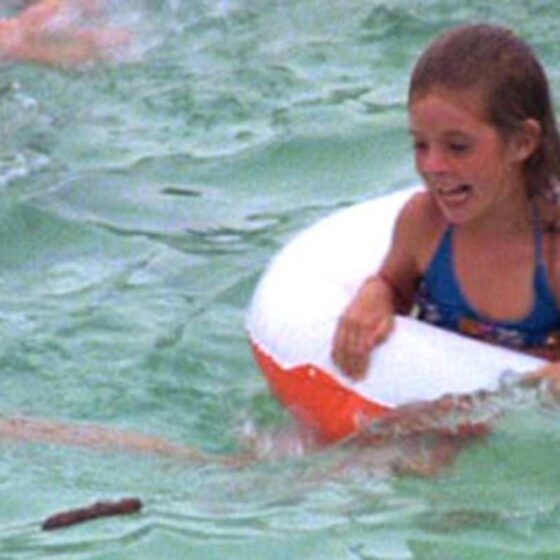 cdc darrhea pool gif