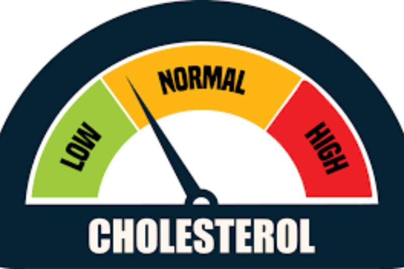 cholesterol levels