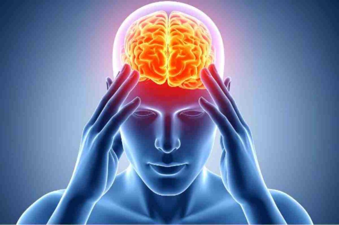 inflammation and the brain